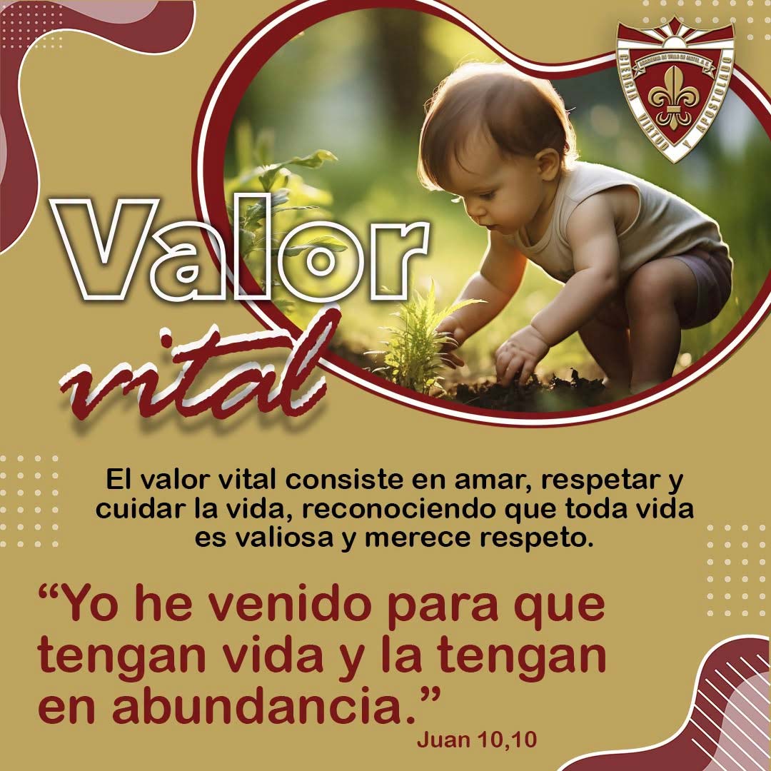 Valor del Mes: Valor Vital